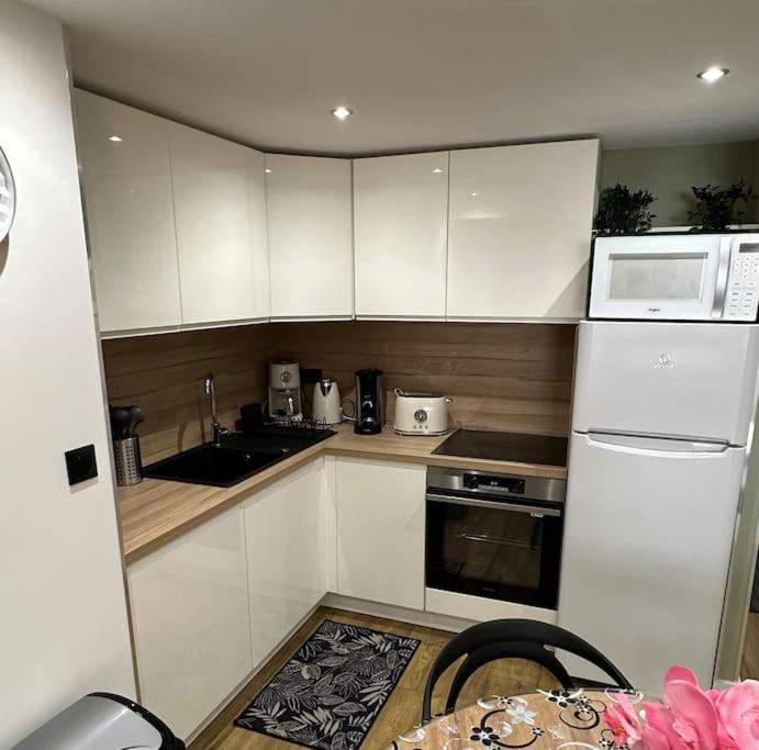 Le Briand Appartement 4Etoiles Nancy Thermal Cosy Avec Terrasse Wifi Eksteriør billede