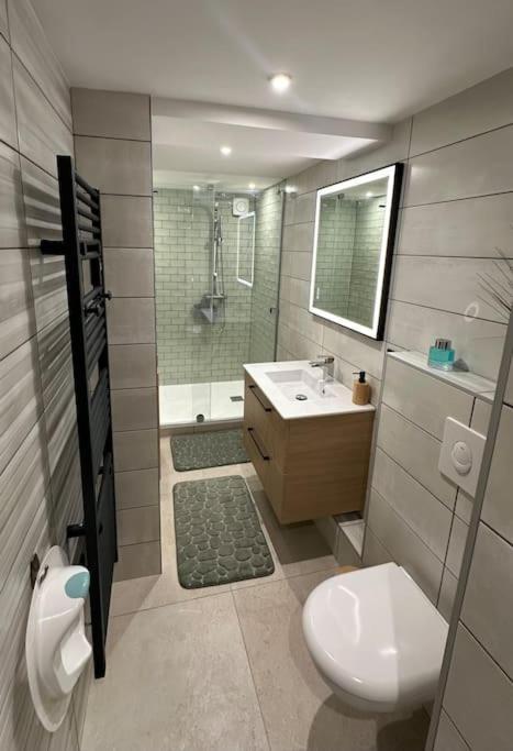 Le Briand Appartement 4Etoiles Nancy Thermal Cosy Avec Terrasse Wifi Eksteriør billede
